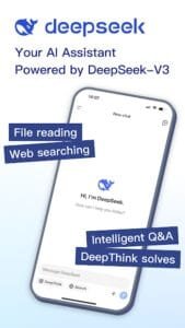 DeepSeek 1