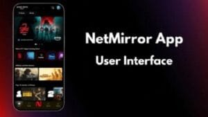 NetFree.cc 1
